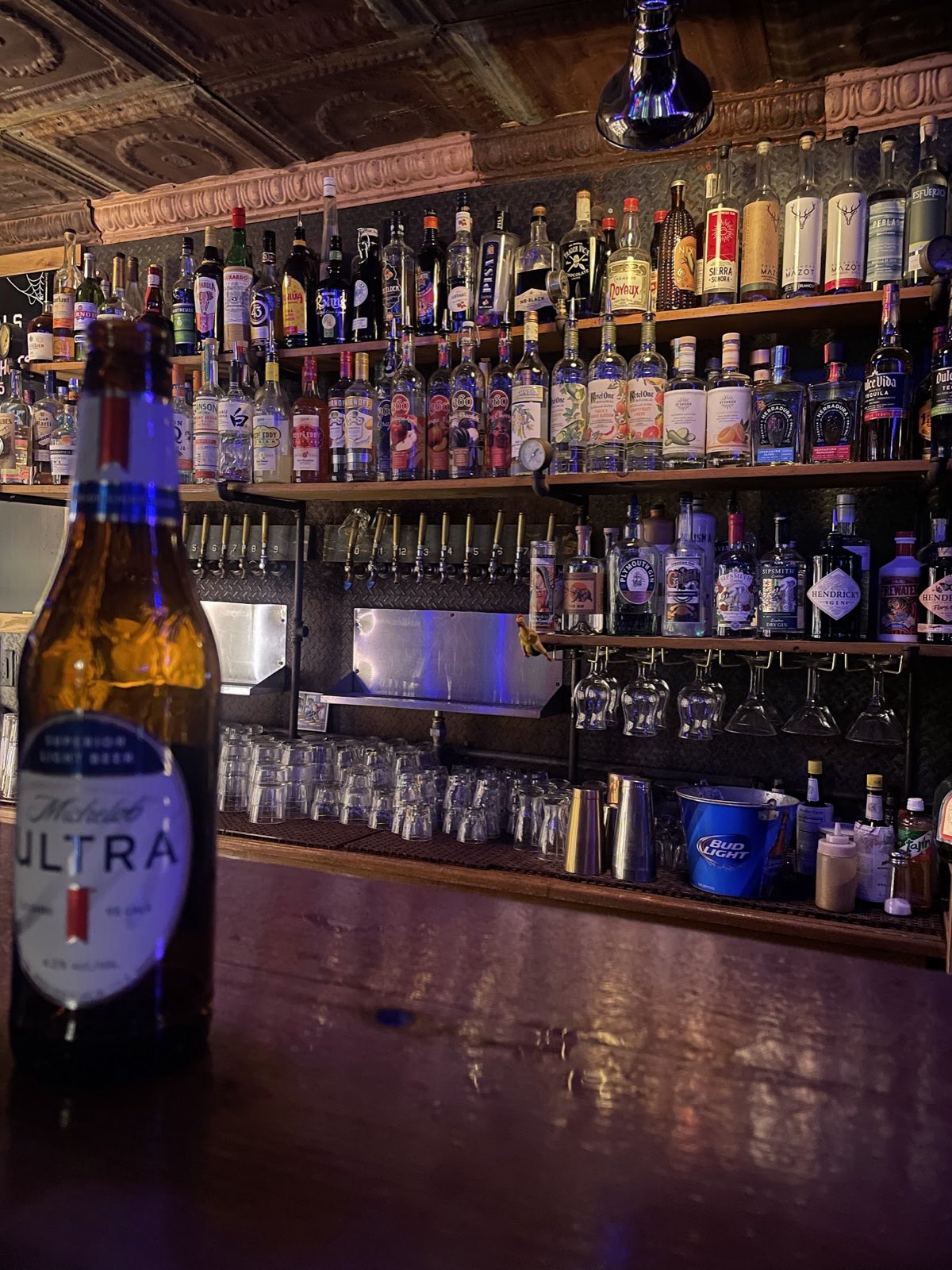 A deep wall of spirits and gin bottles lit blue behind the bar, with rows of clean glasses on the shelf below.